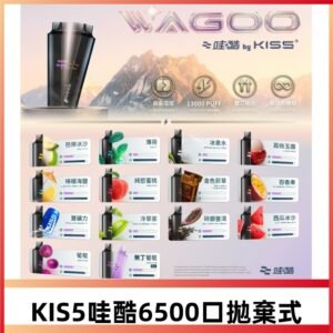 Kis5電子煙|WAGOO哇酷6500口一次性|10+風味煙彈自由混搭