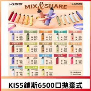 KIS5鎧斯一次性6500口磁吸式 自由混搭充電款電子煙#20個口味#